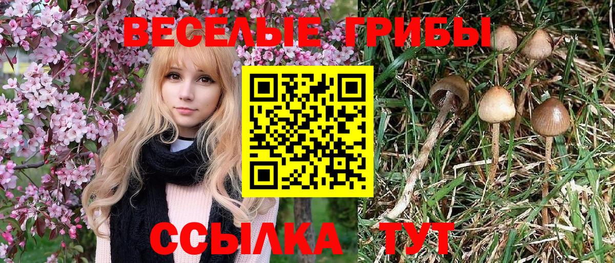Псилоцибиновые грибы мухоморы Котлас